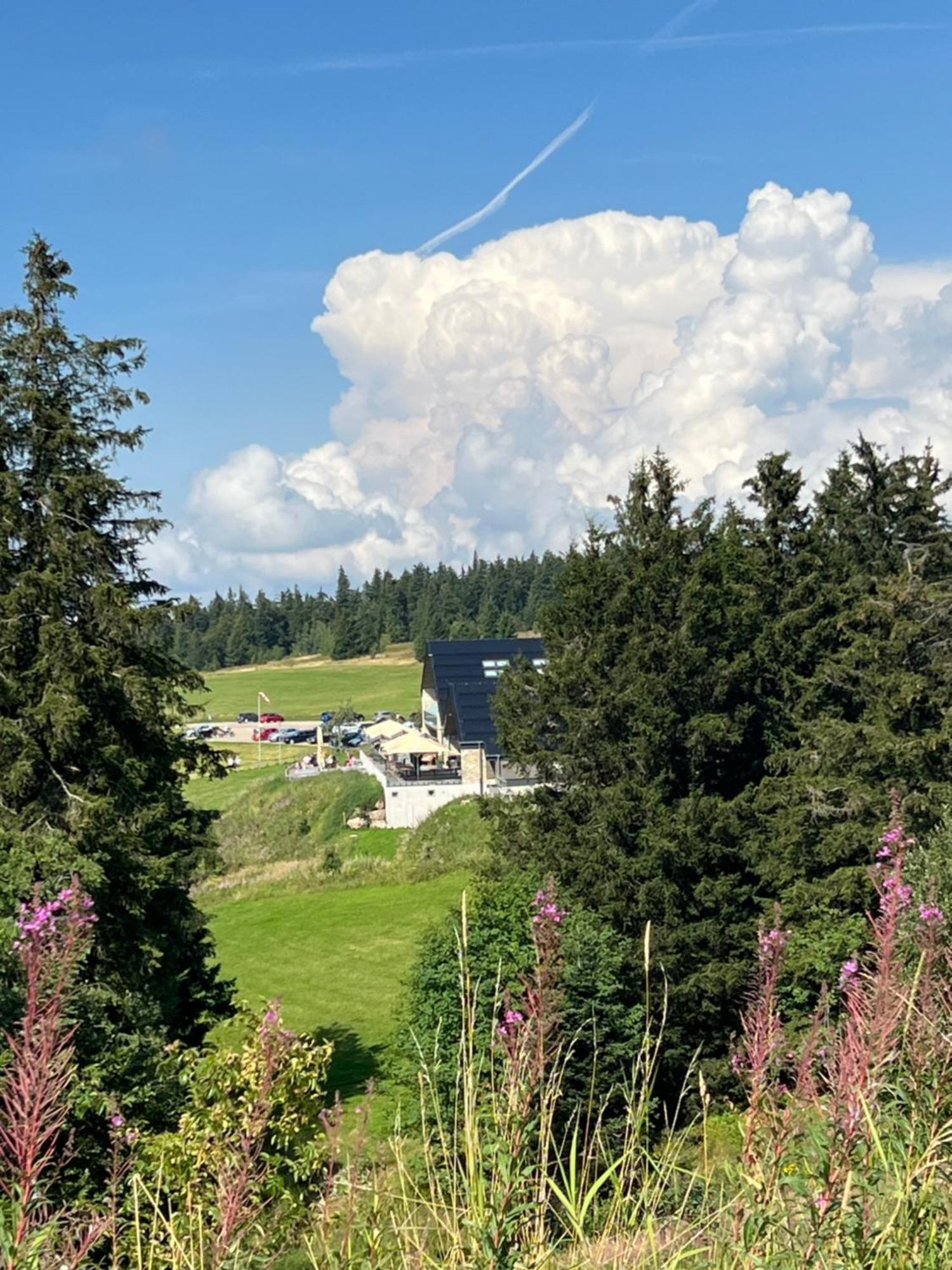 Bergwelt Kandel Hotel & Eventlocation Waldkirch Εξωτερικό φωτογραφία